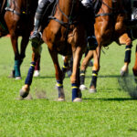 Melbourne Cup Luncheon