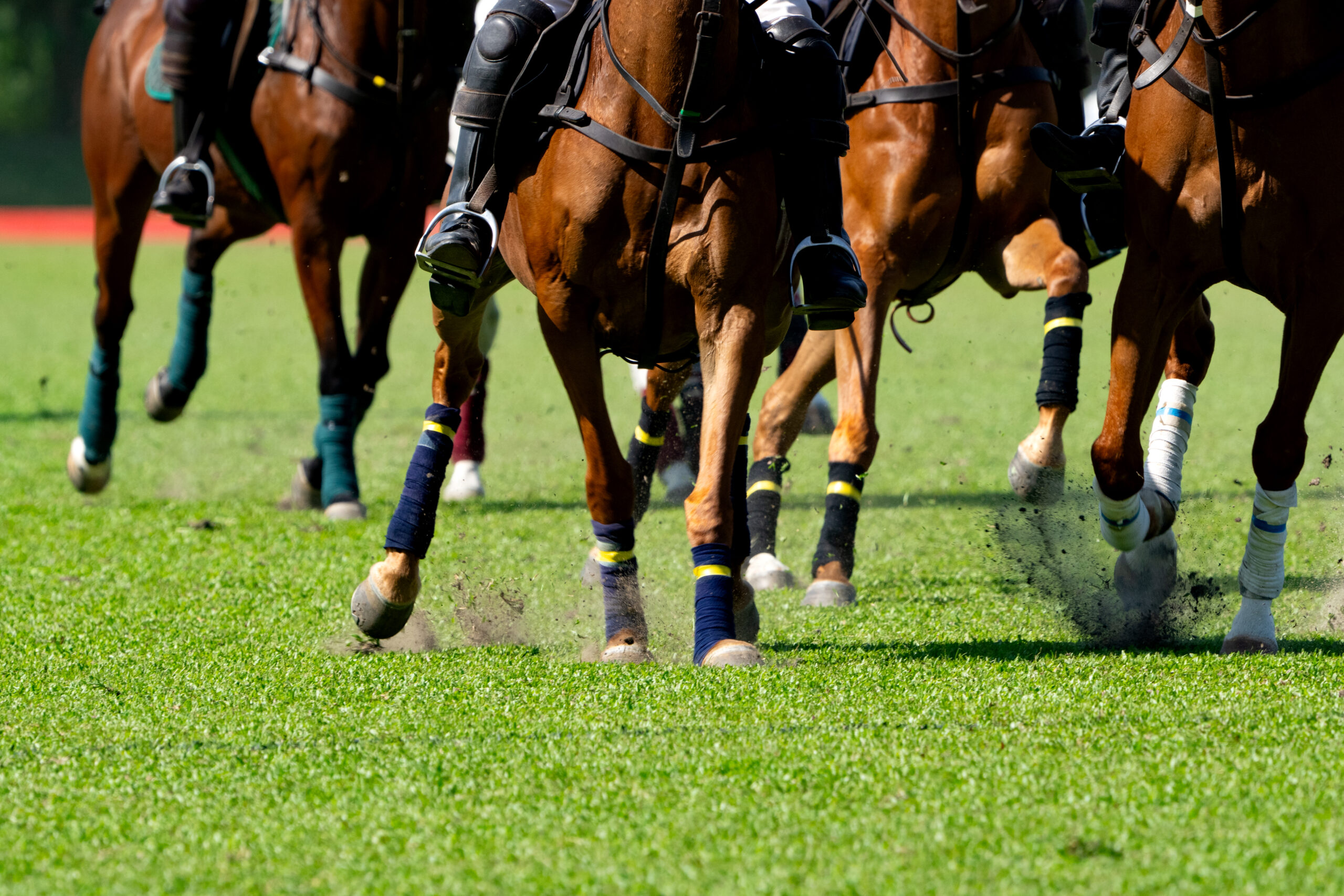 Melbourne Cup Luncheon